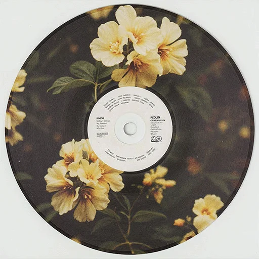 #compactdisc